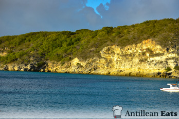Boka St. Michiel - picture of beach